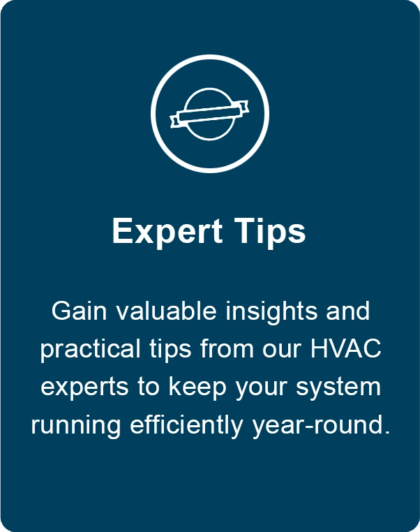Expert Tips
